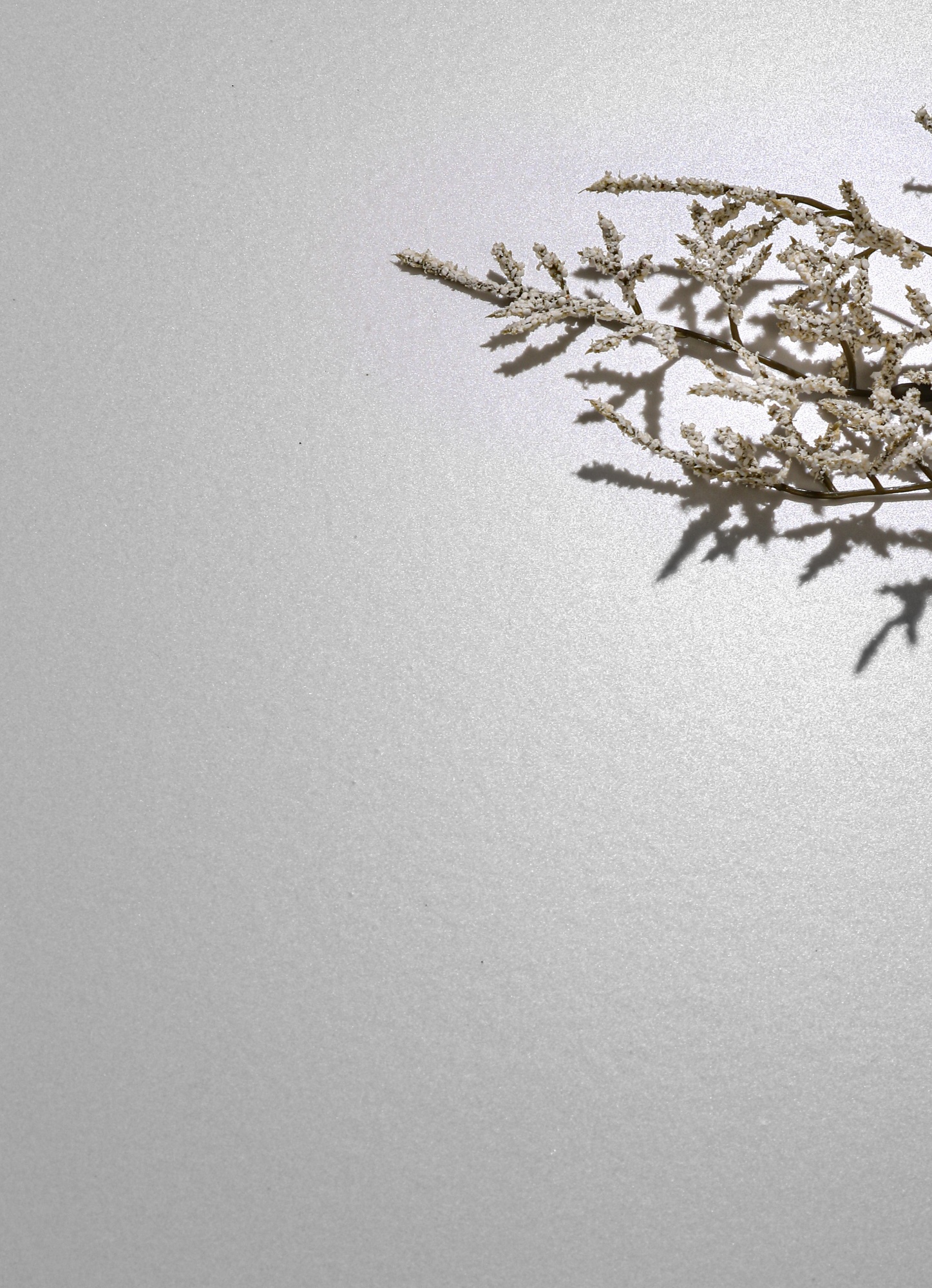 Y1FJ1379RE 浅灰纯色3.jpg